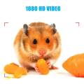 Mini Spy Hidden CameraNIYPS 1080P Portable Small HD Nanny Cam With Night Vision And Motion DetectivePerfect Indoor Covert Security Camera For Home And Office. 