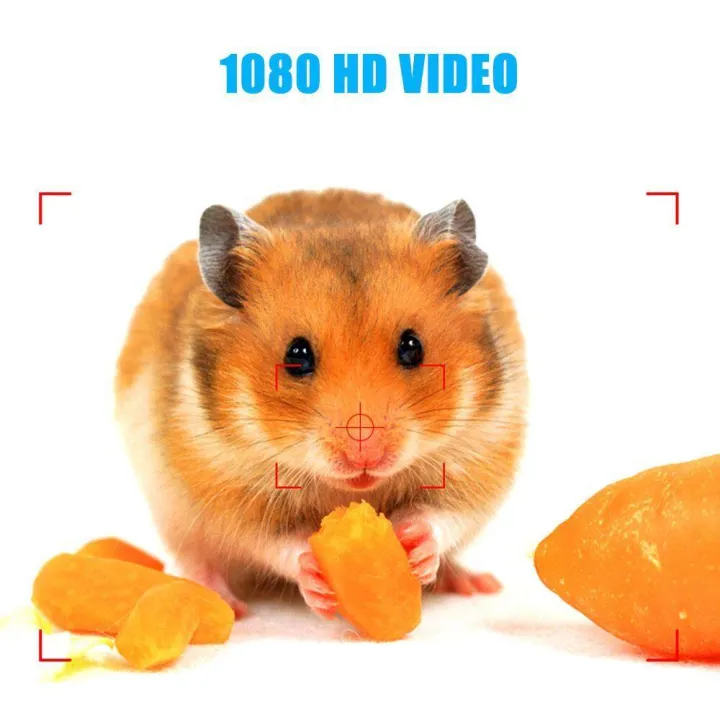 Mini%20Spy%20Hidden%20CameraNIYPS%201080P%20Portable%20Small%20HD%20Nanny%20Cam%20With%20Night%20Vision%20And%20Motion%20DetectivePerfect%20Indoor%20Covert%20Security%20Camera%20For%20Home%20And%20Office%20-%20Image%206
