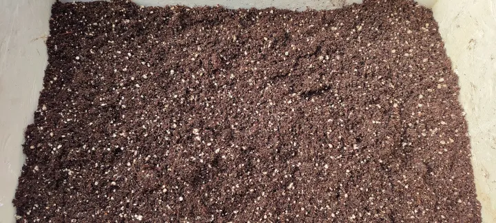 General%20Potting%20Soil%20Mix-%205Kg%20Ready%20To%20Use%20-%20Image%204