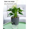 Self Watering Pot ( 3 Size Option). 
