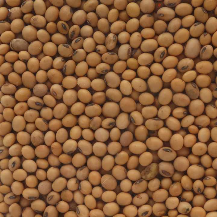 Seto%20Bhatamas%20Nepali%201%20kg%20-%20Image%204