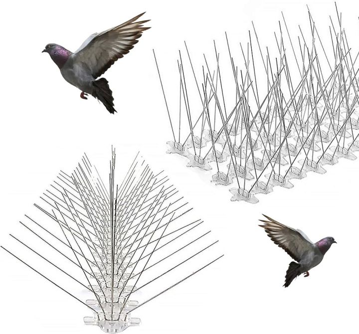 5 Pin Bird Spikes | Stainless Steel Spikes | 60.96 CM