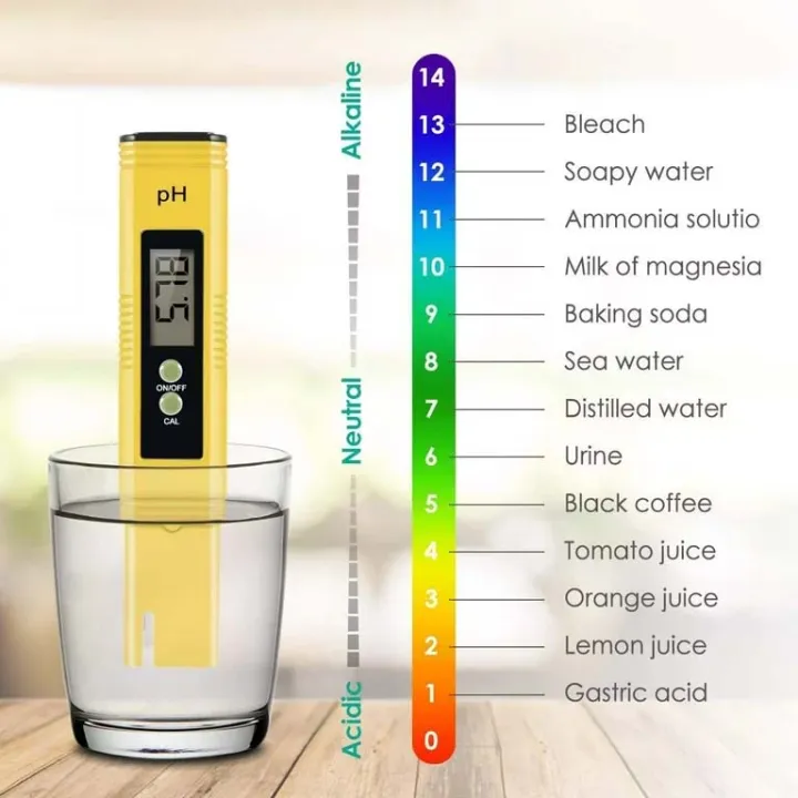 Digital%20Pen%20Type%20PH%20Meter%20For%20Water%20Testing%20With%20Calibration%20Accessories%20-%20Image%202