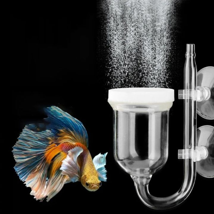 Air%20Refiner%20Fish%20Tank%20Aquarium%20Grass%20Shrimp%20Connected%20To%20Oxygen%20Pump%20with%20Oxygen%20Air%20Refiner%20Nano%20Low-pressure%20Air%20Bubbles%20-%20Image%204