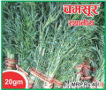 Local Chamsur Seeds 500Grm. 