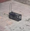 Reusable Traditional Metal Mouse Trap Cage – Humane Live Catch Rodent Control for Garden & Home | No-Kill Rat & Mice Trap Cage | Easy-to-Use Reusable Rodent Catcher. 