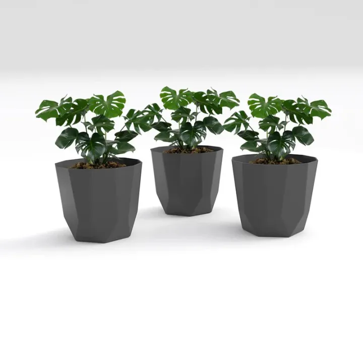 SHERA%20%7C%20Hexa%206"%20Planter%20%7C%20Indoor%20and%20Outdoor%20%7C%20Gamala%20%7C%20Flower%20Pot%20-%20Image%205