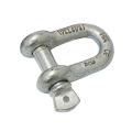 "D" Shackle With Screw Collar Pin, 10 Ton. 