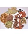 Mix Dry Spice Garam Masala 500 Gm Packet. 