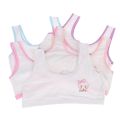 Pack Of 3 - Women Cotton Bra Vest For Teens Steel-Free Bra Non Padded Cartoon Vest Tank. 