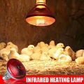 Infrared Heating Lamp Breeding Bulb And Free Heavy Duty Pendent Holder, 250W Pet Brooder Hatch Chicken, Animals Infrared Lamp. 