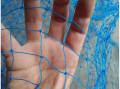 Cricket Net / Anti Bird Net -100 x 10 ft. 