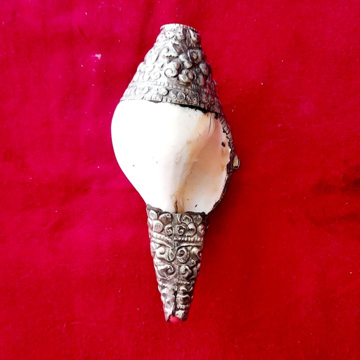 Small%20Conch%20Shells%20-%206inches%20-%20Original%20Shankh%20With%20aluminium%20Wrapped%20For%20Laxmi%20Danvarsha%20&%20Holy%20Purpose;%20Pooja%20-%20Image%205
