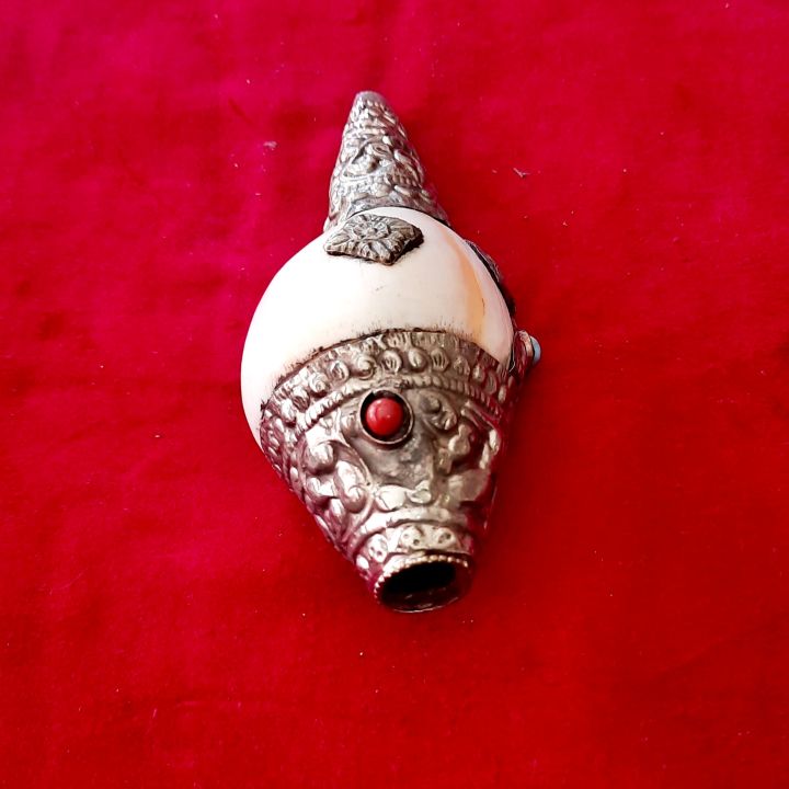 Small%20Conch%20Shells%20-%206inches%20-%20Original%20Shankh%20With%20aluminium%20Wrapped%20For%20Laxmi%20Danvarsha%20&%20Holy%20Purpose;%20Pooja%20-%20Image%203