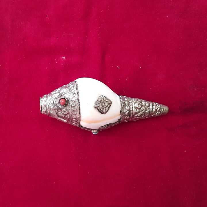 Small%20Conch%20Shells%20-%206inches%20-%20Original%20Shankh%20With%20aluminium%20Wrapped%20For%20Laxmi%20Danvarsha%20&%20Holy%20Purpose;%20Pooja%20-%20Image%204
