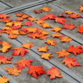 50Pcs Artificial Maple Leaves Autumn Leaves for Home Wedding Christmas Party Decoration Fabric Maple Leaf. 