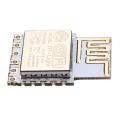 DMP-L1 WiFi module Tools DIY built-in ESP WiFi chip. 