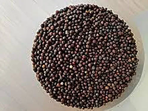 Black%20Mustard%20Seeds%20(Rai)%20100gm%20-%20Image%203