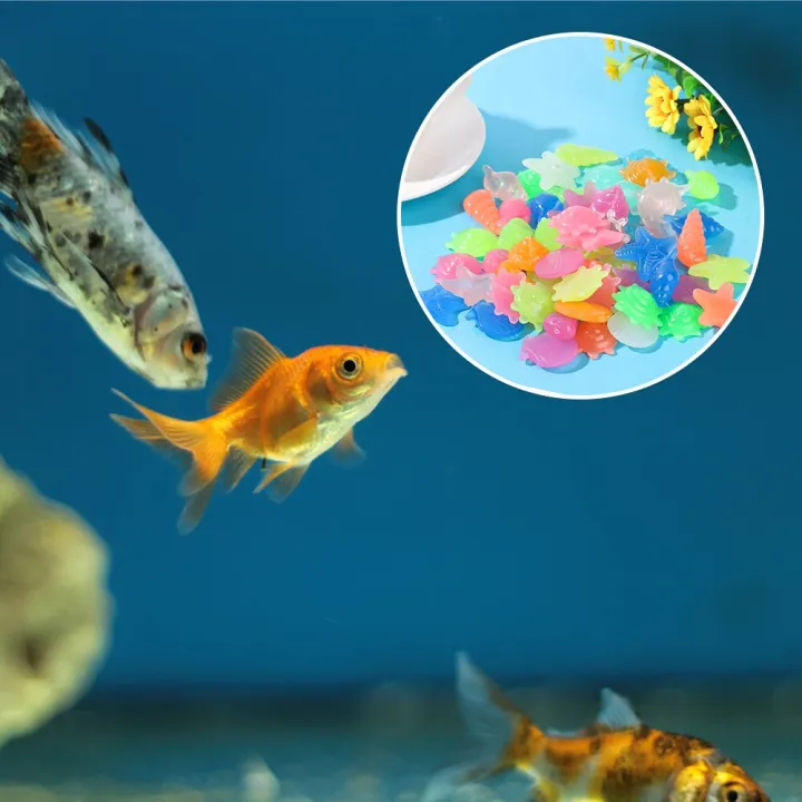 14%20Pieces%20Bag%2010%20Luminous%20Stones%204%20Tortoise%20Conch%20Shell%20Stone%20Aquarium%20Fish%20Tank%20Landscaping%20Decoration%20stone%20for%20fish%20tank%20aquarium%20multipurpose%20decoration%20stone%20-%20Image%207