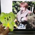 Kpop Idol NCT WISH Yushi Plush Keyring Green Cat Doll Stuffed Toys. 