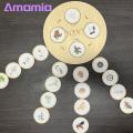 Amamia Life Cycle Puzzle Simulated Life Cycle Jigsaw Puzzles Plant Growth Matching Game. 