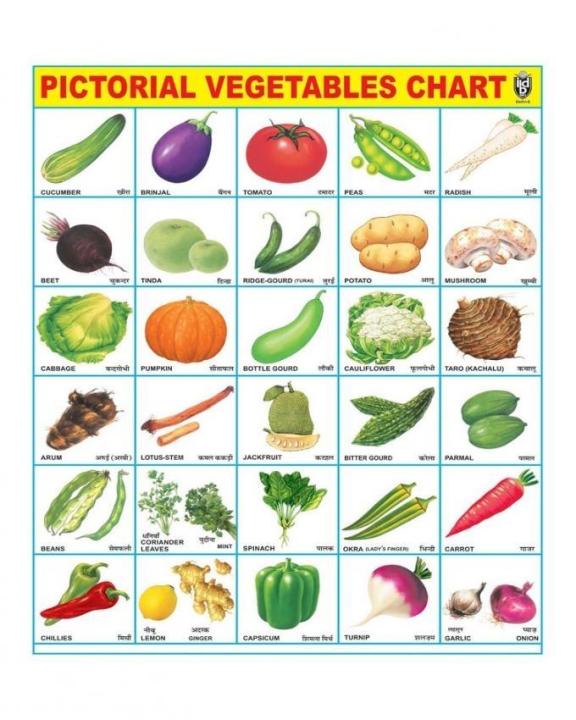 Laminated%20Educational%20Vegetable,Fruit,Animals%20Chart%20-%20Image%203