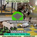 Multi Color Plastic Floor Mat – 1x1 Sqft Attachable Panel for Pets, Birds & Farm Animals red blue green yellow. 