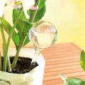 20 Pcs Plant Watering Bulbs Clear -Watering Globes Automatic Water Balls Device Vacation Houseplant Pot Bulbs. 
