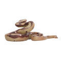 Snake Pranks Toy, Lifelike Snake Toy Versatile Cleanable for Adults for Garden. 