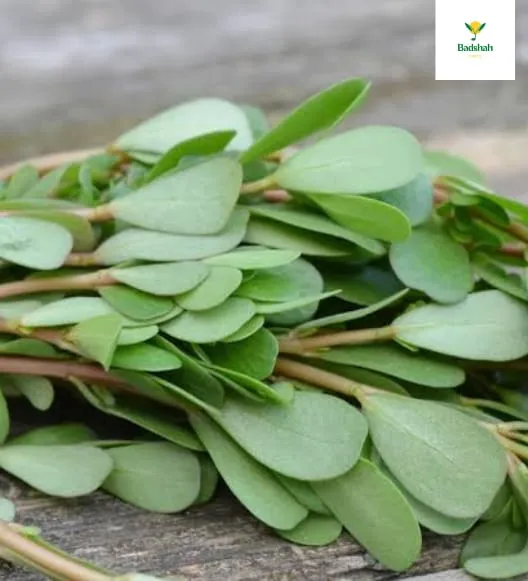 Kulfa%20Saag%20Seeds%20(Green%20Vegetable%20Seeds-%20Premium%20Quality)%20-%20Image%202