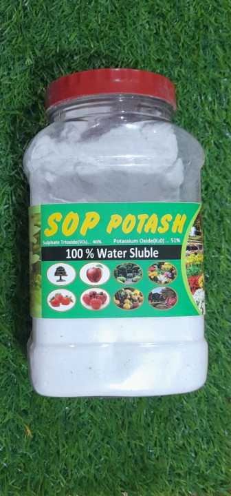 Imported%20Potash%20Fertilizer%20-%20Powder%20Form%201kg%20Jar%20(1000gm)%20-%20for%20Gardens,%20Lawns,%20and%20Trees%20-%20Image%202