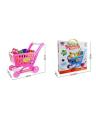Funny Shopping Cart for Kids. 