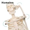 Flexible Jointed Mini Skeleton Realistic Mini Human Skeleton Model for Study Decoration Perfect Halloween Gift. 