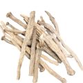 AQAR QARHA (aqar qarha irani) 100 % pure & natural 20 GM عقر قرحا. 