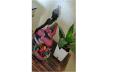 Multi Color Potpourri Flowers for Home Decor/Potpourri Leaves Without Fragrance only for Potpourri Decoration | Multi Color Potpourri 1000 Leaves for Indoor Outdoor Decoration | Artificial Colored Flowers Petals Pack. 