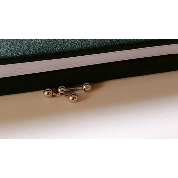 Steel%20piercing%20Earrings%20For%20Unisex%20-%20Image%202