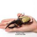 【Funny Bunny Toy Store】Simulation Mantis stag beetle spiders Scorpion centipede Tarantula model Figurine Decoration Gift For Kids. 