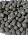 5 Seeds Of (KANWAL) Aquatic Plant Mix Colors. 