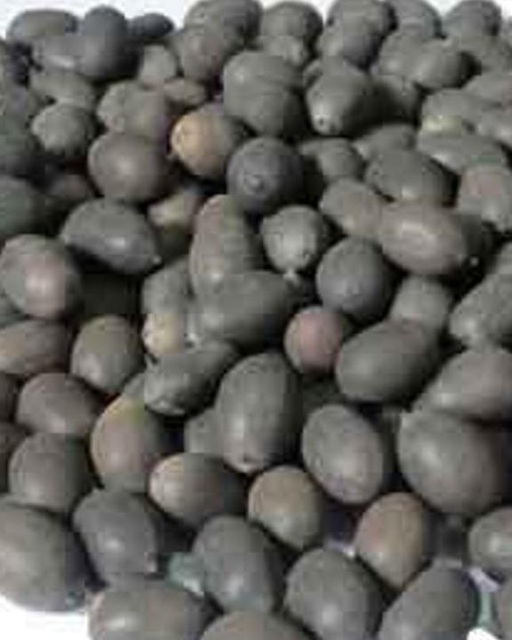 5%20Seeds%20Of%20(KANWAL)%20Aquatic%20Plant%20Mix%20Colors%20-%20Image%207