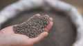 Grow Green | DAP Fertilizer 18-46-0 |  Phosphorus | Plant Food. 