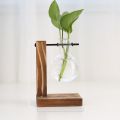 Hydroponic Vase-Vintage Desktop Plant Terrarium Planter Bulb Glass Vase- Water Planting Propagation Stations Home Decoration. 