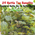 Organic NETTLE LEAF Herbal Tea Dried Cut 100g Premium Quality. 