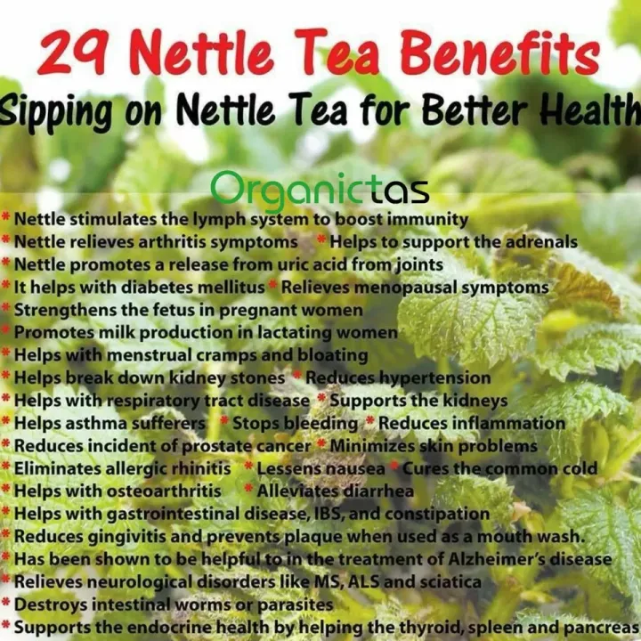 Organic%20NETTLE%20LEAF%20Herbal%20Tea%20Dried%20Cut%20100g%20Premium%20Quality%20-%20Image%203