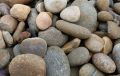River Rock 1.5 kg Multiple Colors/Finishes River Rock in the Landscaping Rock department at. 