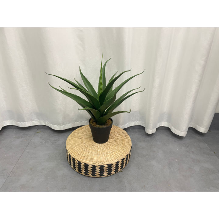 Imported%20artificial%20Yucca%20Plant%20with%20black%20Planter%20-%20Image%206
