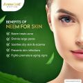 Arena Gold Neem Face wash 100gm - Facewash - Purifying Neem Facewash - Anti Acne - For Oily Skin - Face Wash -  Active Neem Face Wash - Neem Extracts - Reduces Pimples For Men And Women For All Skin Types - Face Cleanser. 