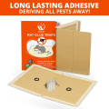 (Pack of 10) - WBM Rat Glue Trap (Large) | Mouse Glue Trap, Sticky Mat. 