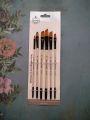 6 Pcs Professional Angular Paint Brush Water Color Oil Acrylic Artist Paint Brush - High Quality Brushes. 