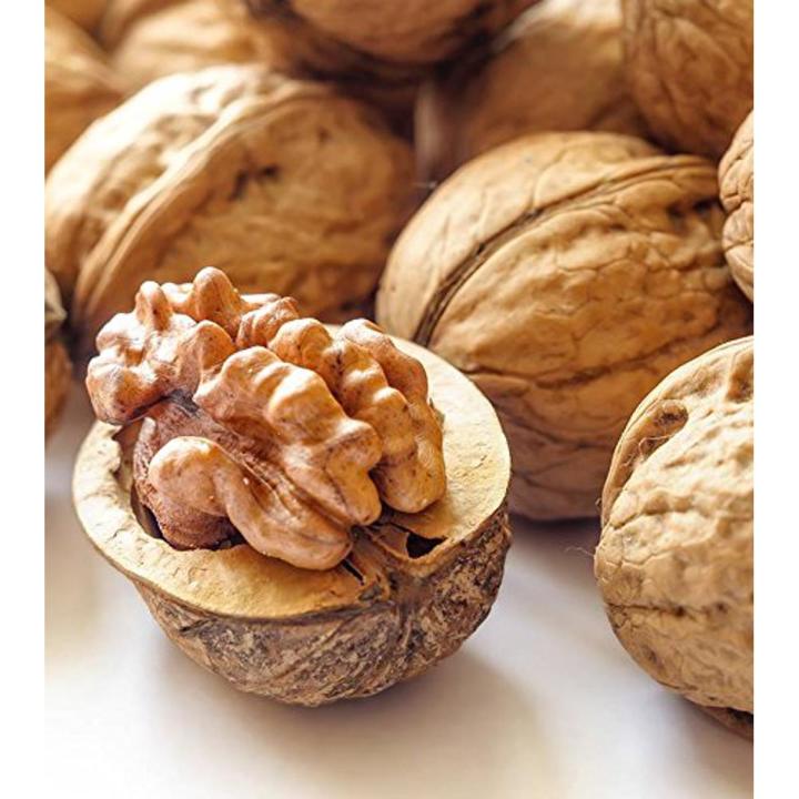 Walnuts Akhrot Dry Fruit Fresh and Delicious