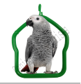 Large Parrot Swing Jhoola For Birds. 